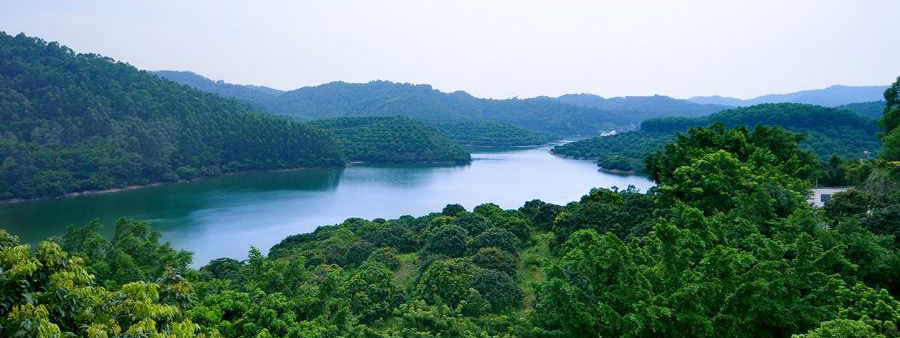 大岭山森林公园